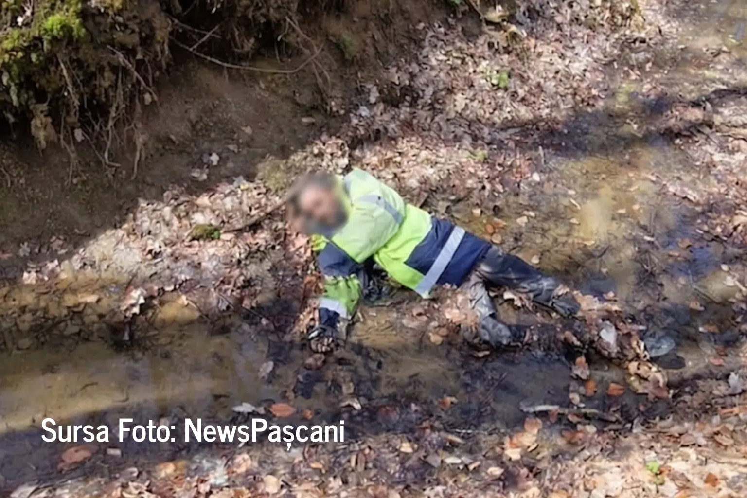 Cadavrul mumificat al unui bărbat a fost găsit în pădurea din Valea Seacă (PAȘCANI)